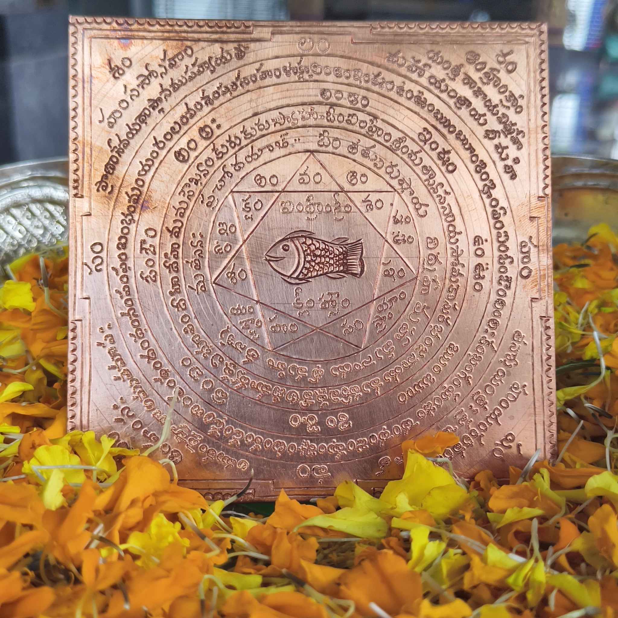 Matsya Yantra